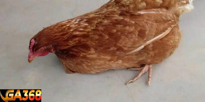 Nguyên nhân y khoa lây nhiễm