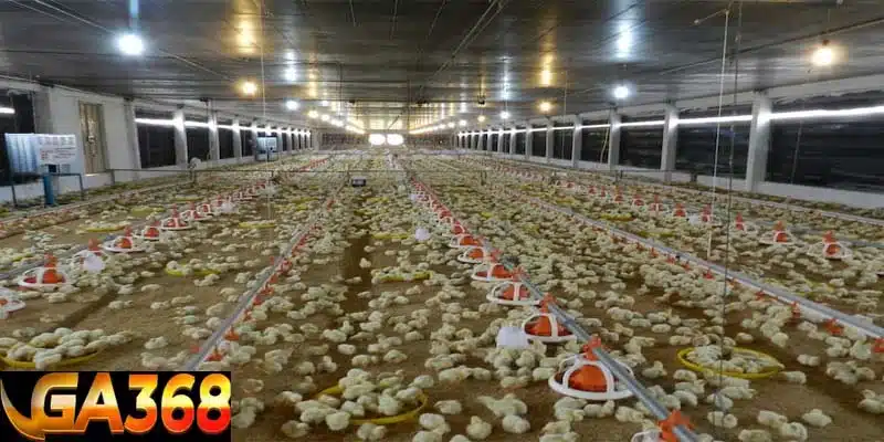 Bí quyết 4: Chăm sóc hợp lý